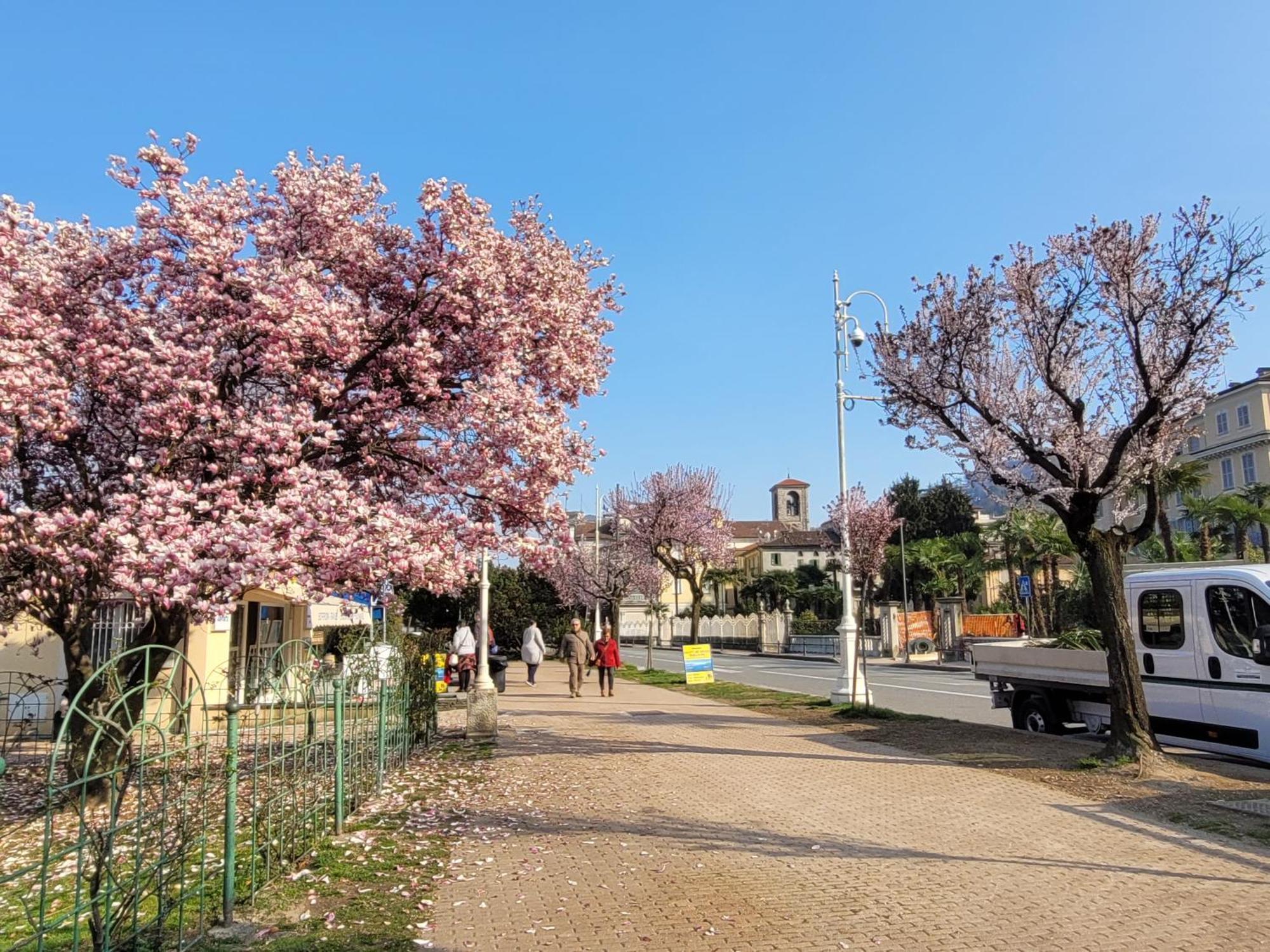 Al Dolce Vita Stresa Kültér fotó